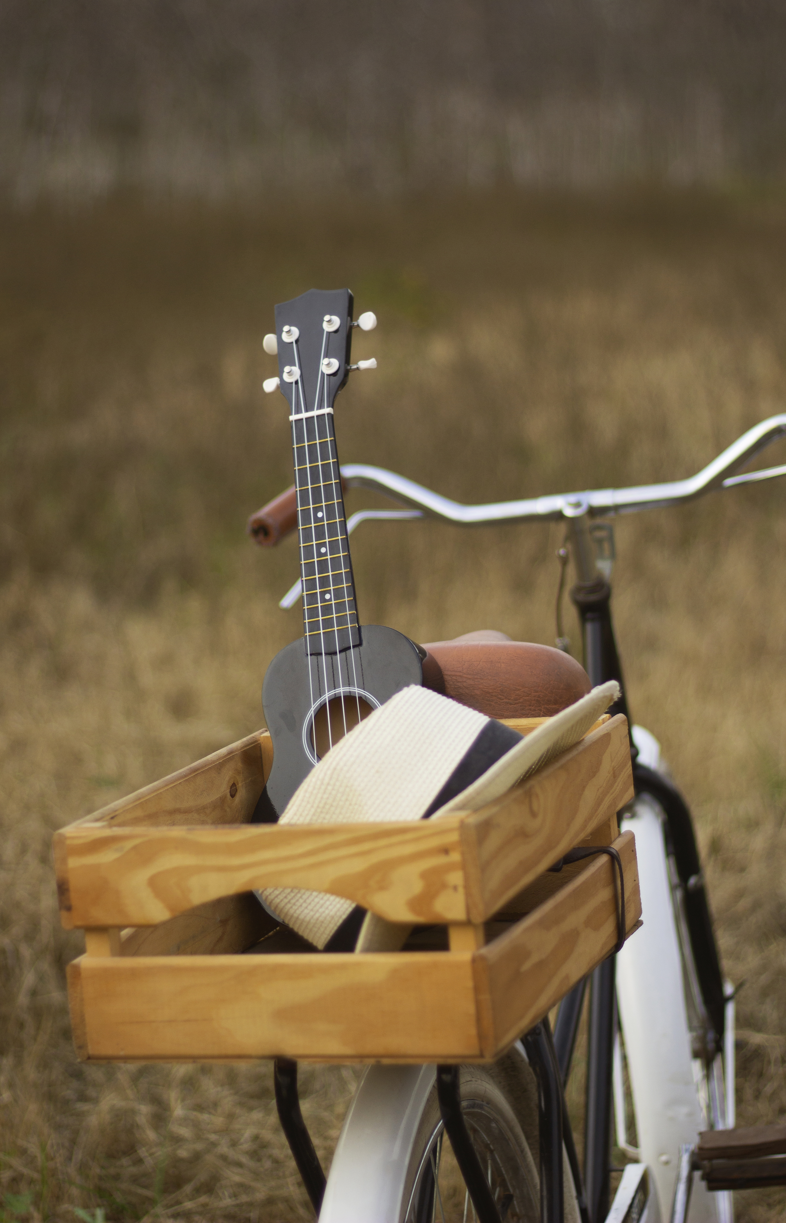 Balade à vélo et musique nature